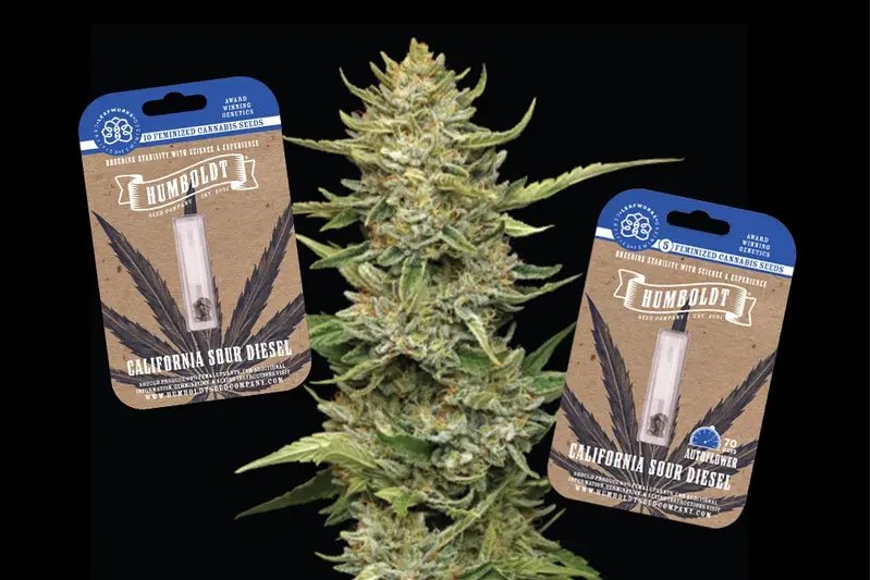 Humboldt Sour Diesel, Фасовка: 3